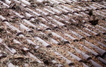 Nairn roof cleaning companies